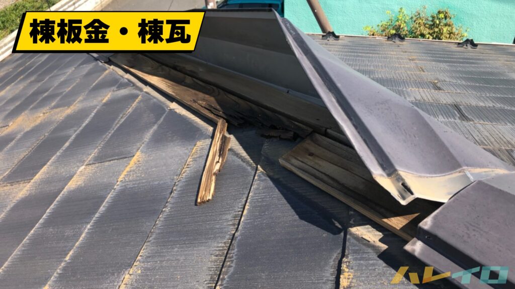 2019年9月の房総半島台風で千葉県の住宅の棟板金が浮き上がり破損した状態を、丸山建設株式会社が現地調査で撮影した被害写真