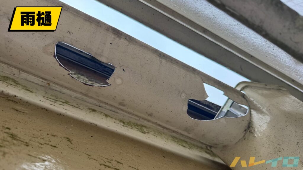 2024年9月19日の八王子市の雹被害で住宅の雨樋に穴が開いている状態を、丸山建設株式会社が現地調査で撮影した被害写真