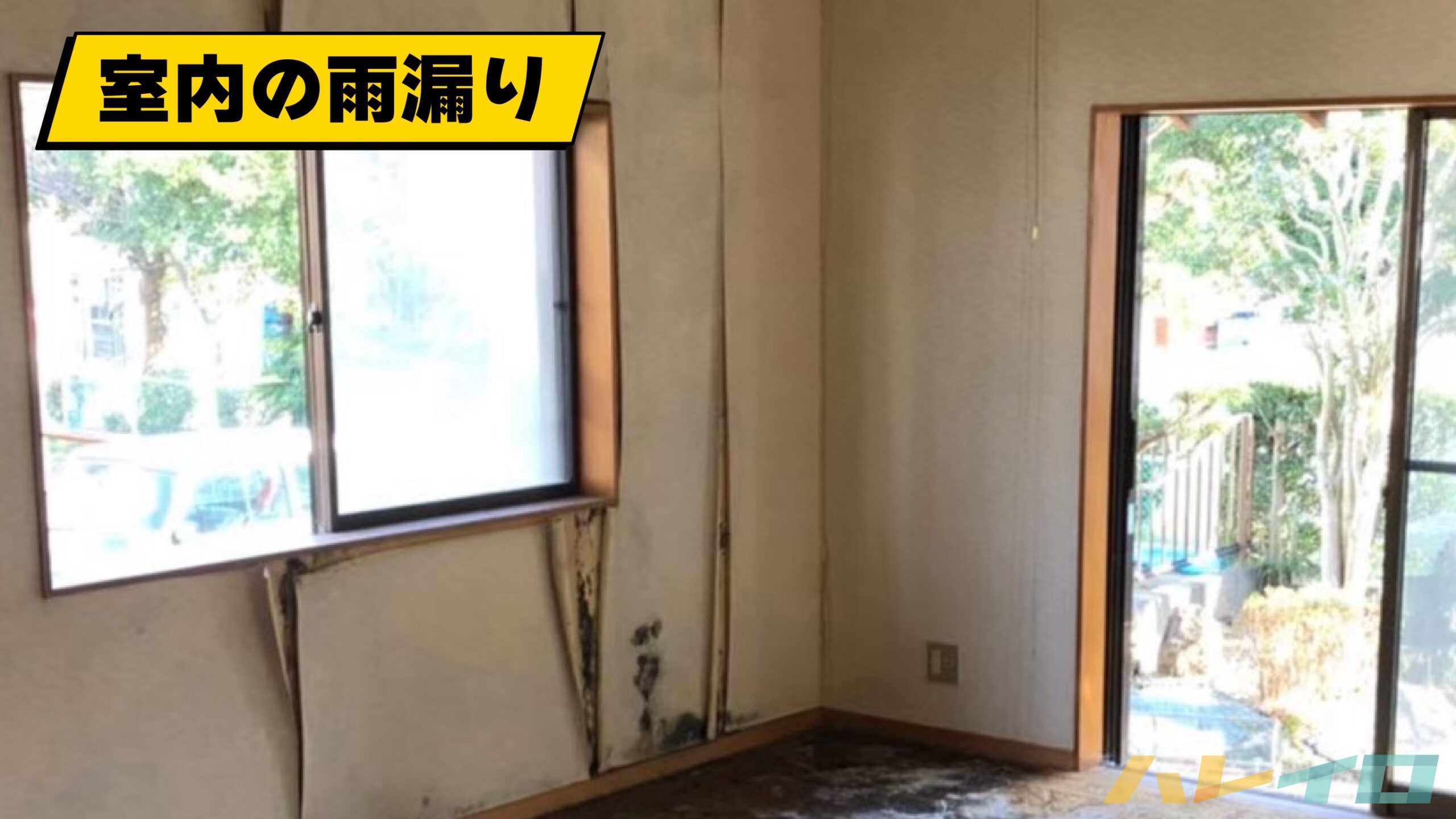 2019年9月の房総半島台風で屋根が破損し千葉県の住宅に室内雨漏りが発生した状態を、丸山建設株式会社が現地調査で撮影した被害写真