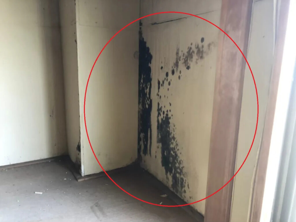 放置が危険!クロスの異常から広がる「3つの深刻リスク」とは1