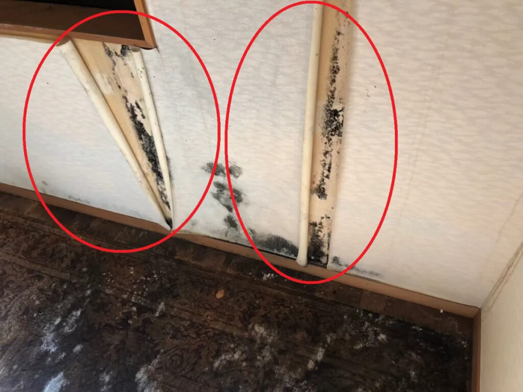 「クロスの異常は家の“内部”ではなく“外部”が原因だった」が非常に多い