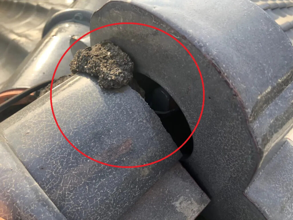 早期発見のために今すぐできる3つの対策