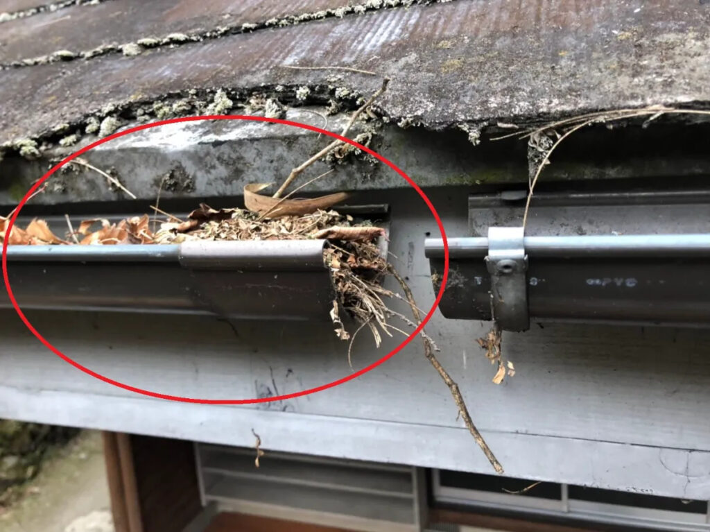 雨樋の詰まりがもたらす“5つの住宅トラブル”