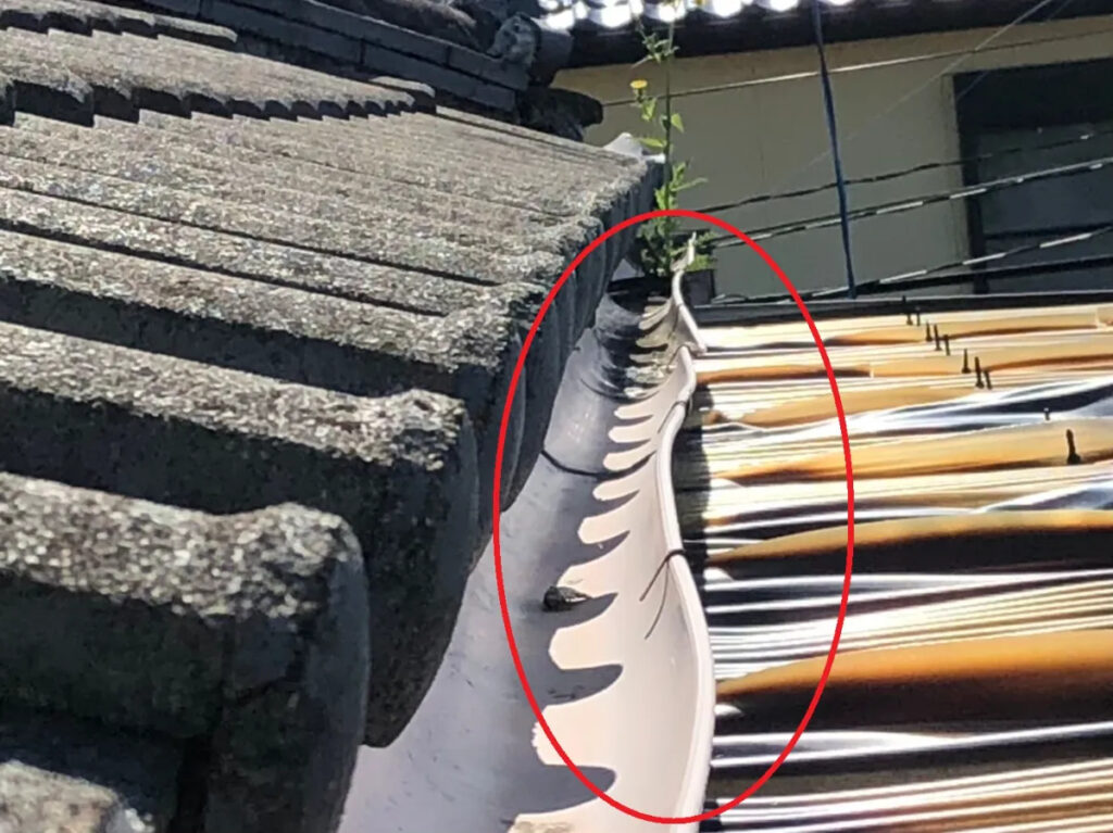 雨樋の詰まりを防ぐための5つの対策