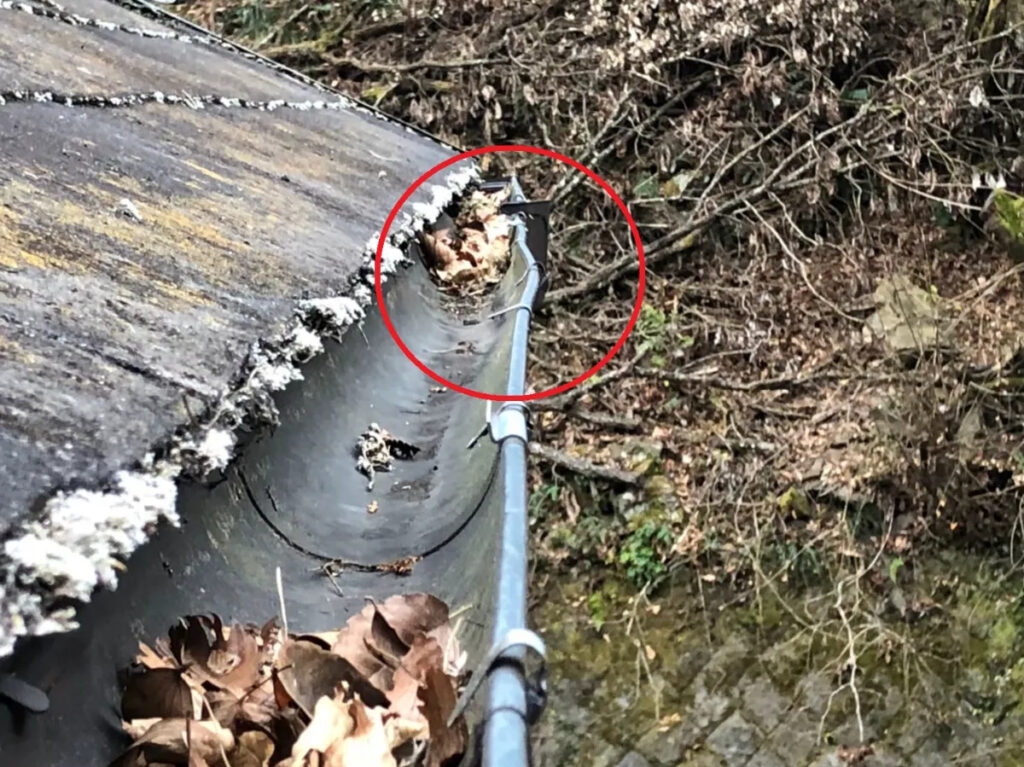 丸山建設なら無料点検・保険申請サポートも万全!