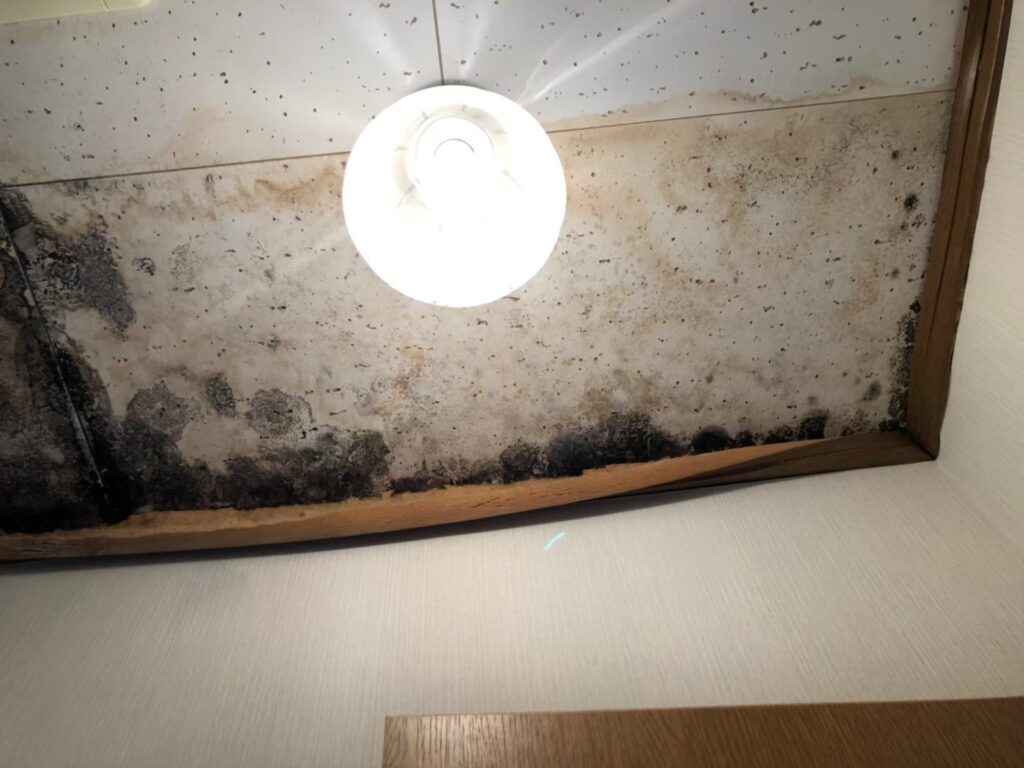 室内天井にカビが発生して黒い斑点が見える状態