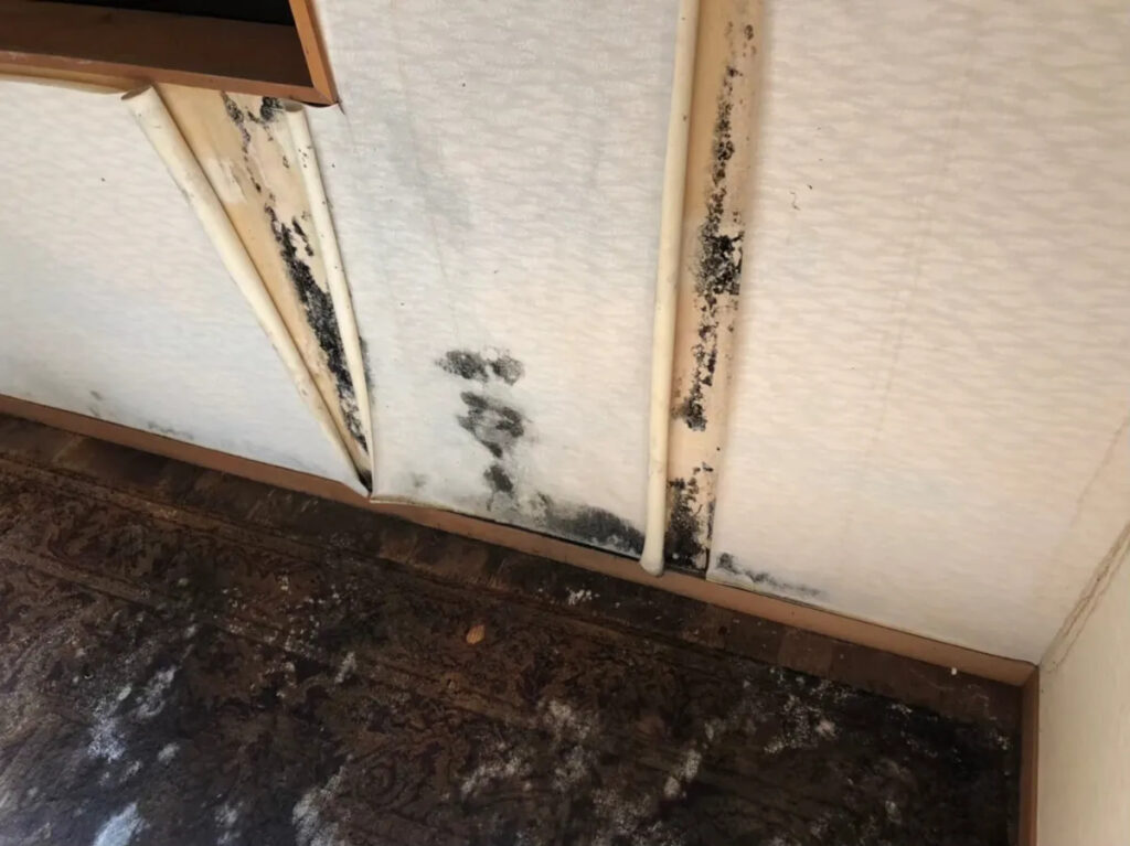 放っておくと大変!雨漏りの初期症状とは?3