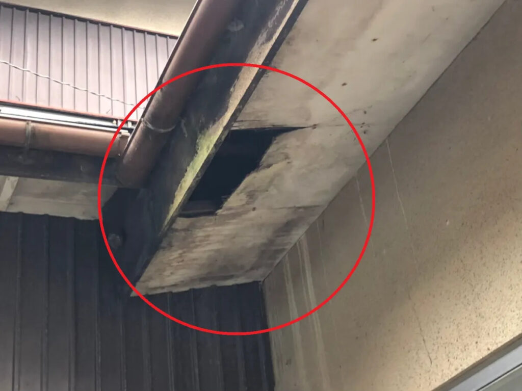 チェックポイント③:軒天に小さな穴やヒビ割れ