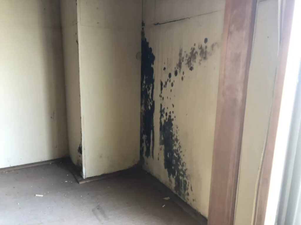 外壁ひび割れで起こる5つの損害とその対処法2