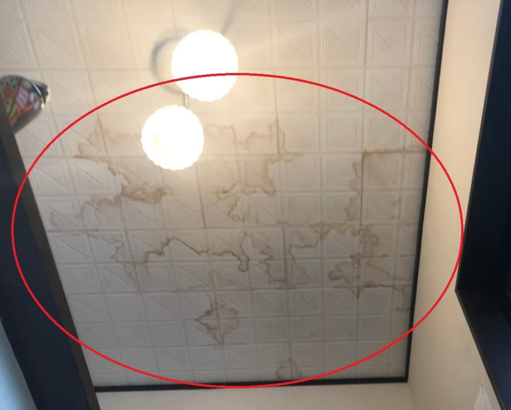 雨漏り被害の拡大とその影響