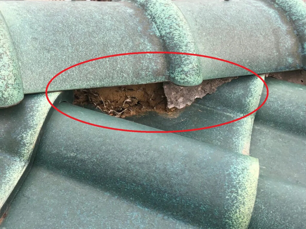 火災保険で修理できる?知らないと損するポイント