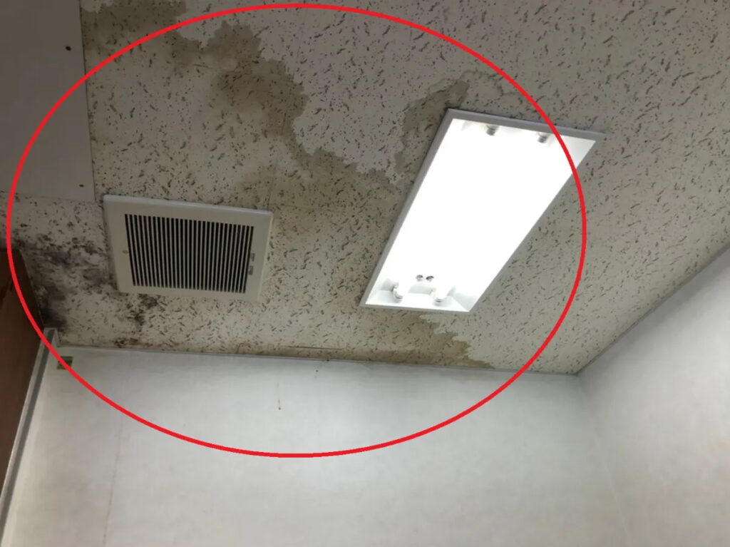 【ステップ⑤】室内への雨漏り被害・修理費の高額化