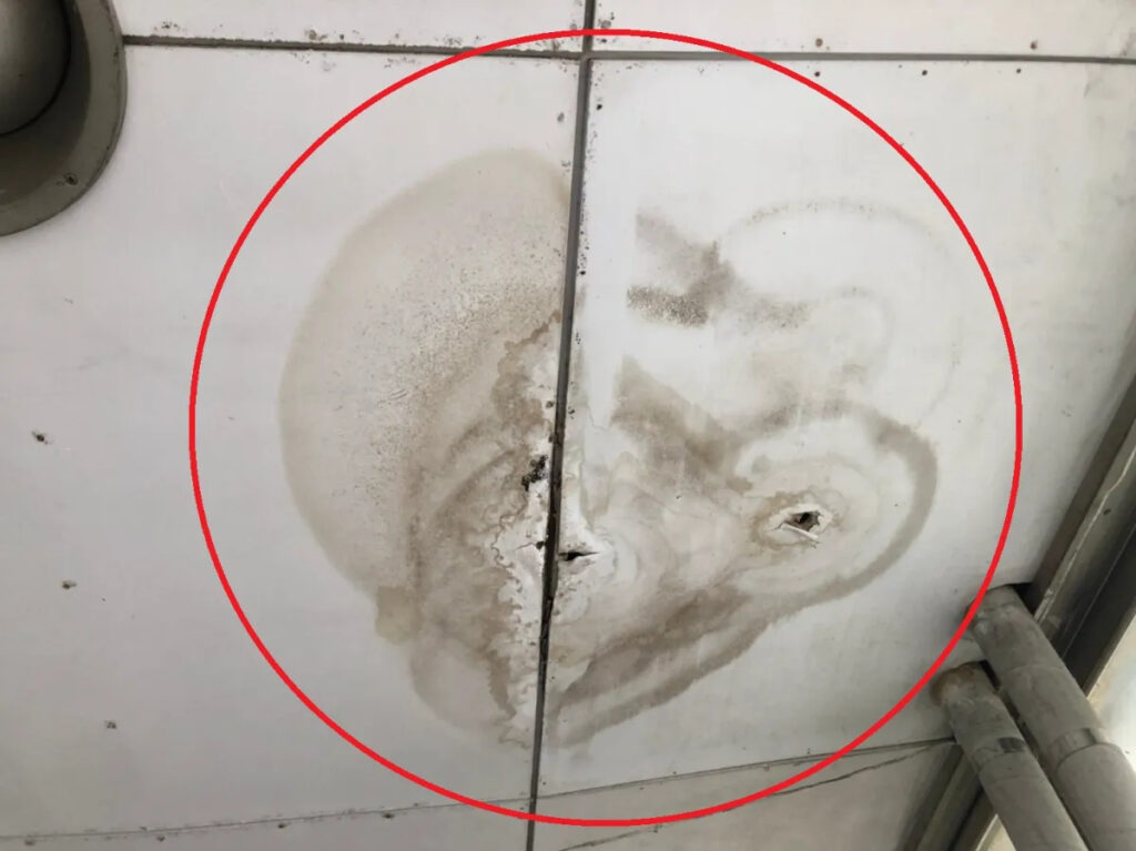 雨樋トラブルがもたらす深刻な被害とは?1