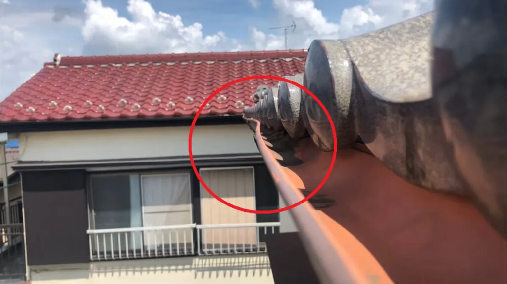 雨樋点検はプロに任せた方がいい理由