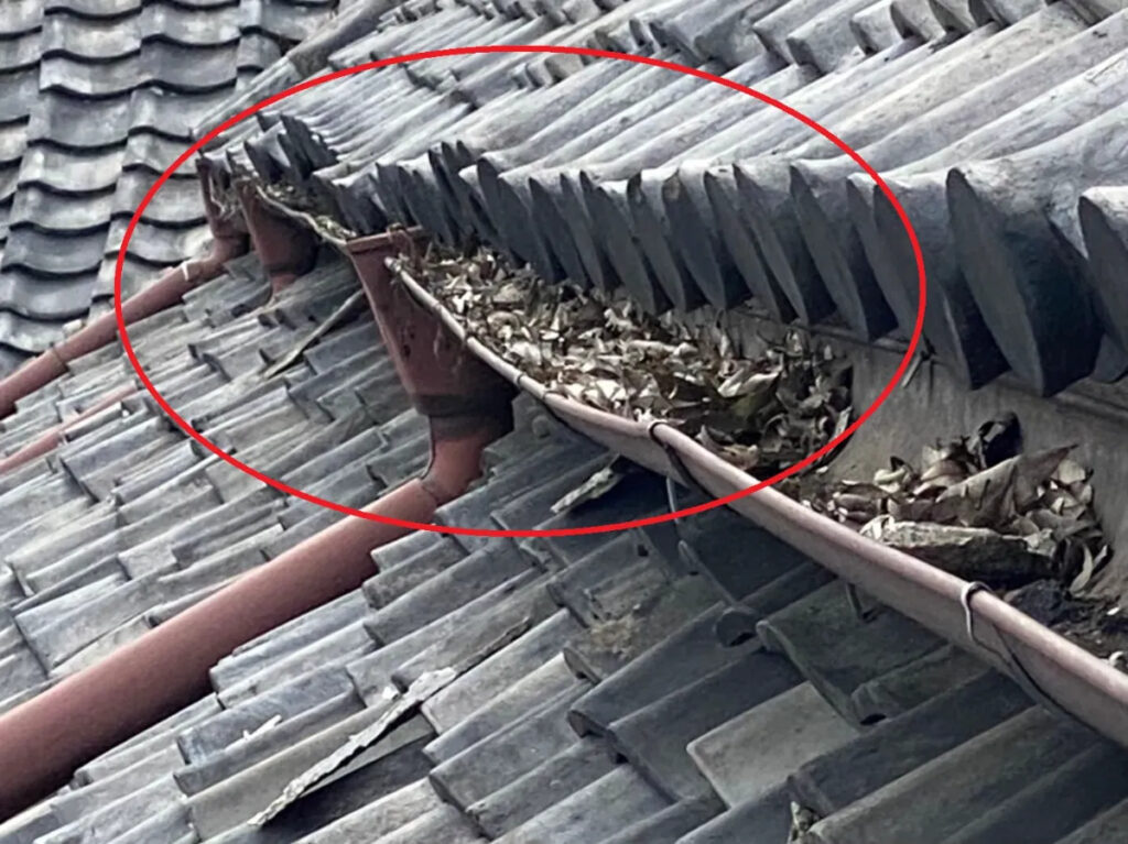 雨漏りの原因になりやすい劣化ポイントとは?2