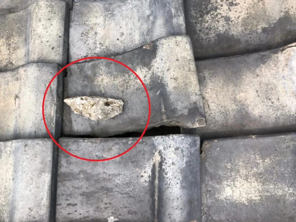 台風後の飛来物・影響物の点検