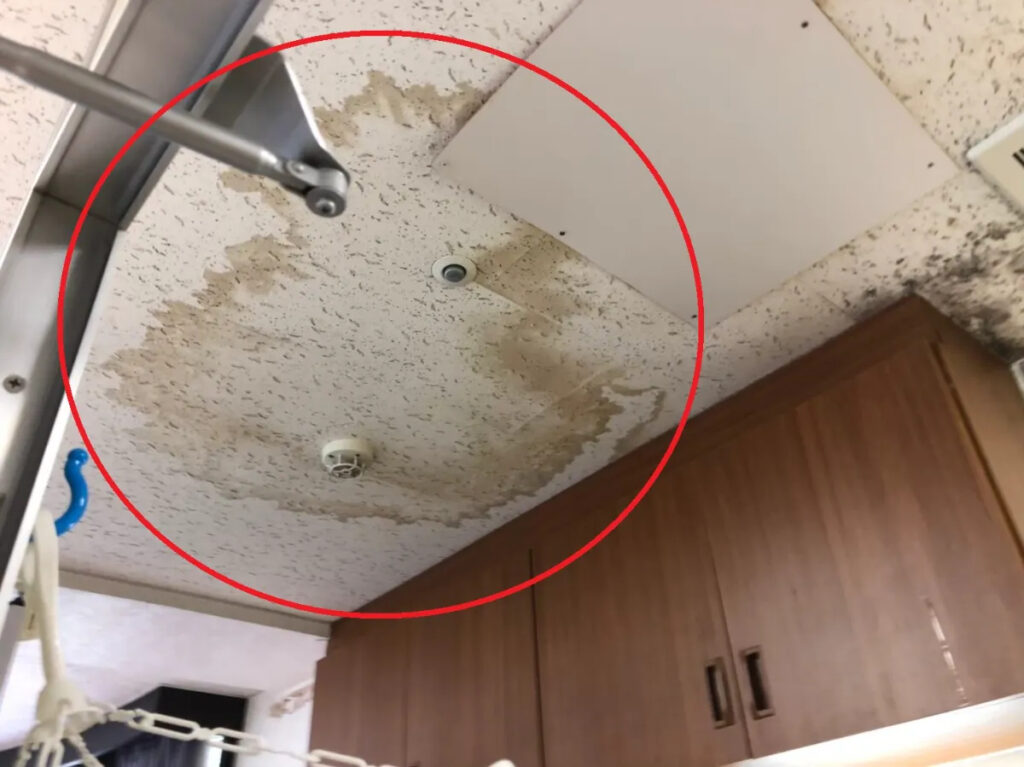 なぜ雨漏り修理は早急に行うべきなのか?