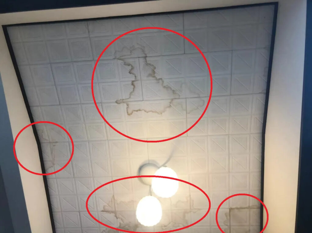 無料点検で雨漏りの原因を明確に|丸山建設のサポート体制