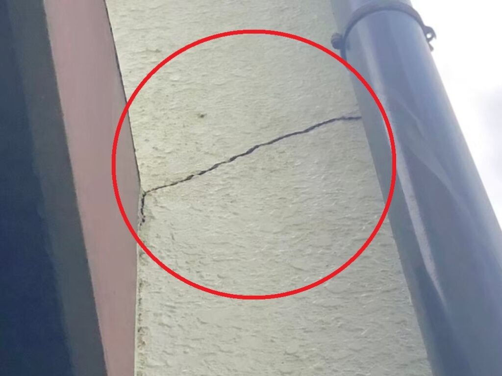 シロアリ被害は「水の侵入」から始まる