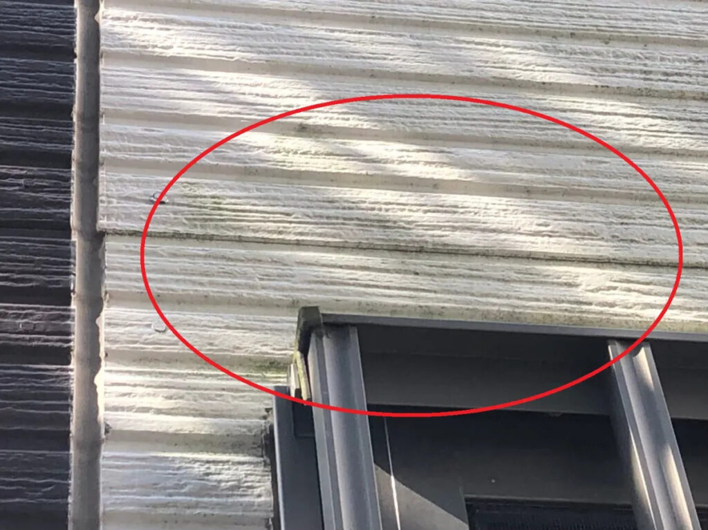 放置厳禁!外壁の「カビ・黒ずみ」は単なる見た目の問題ではない