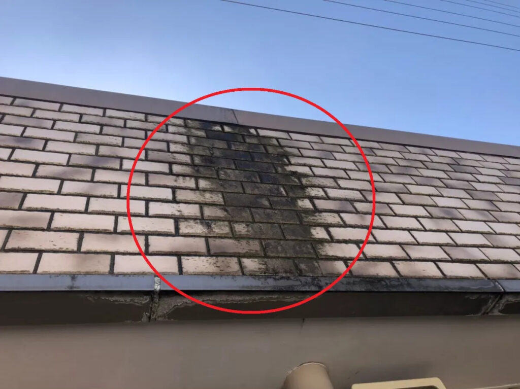 外壁劣化の進行スピードと、3年以内に現れる“危険サイン”