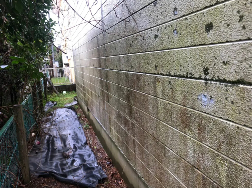 5つの症状を見逃すな!早めの対応で家を守ろう