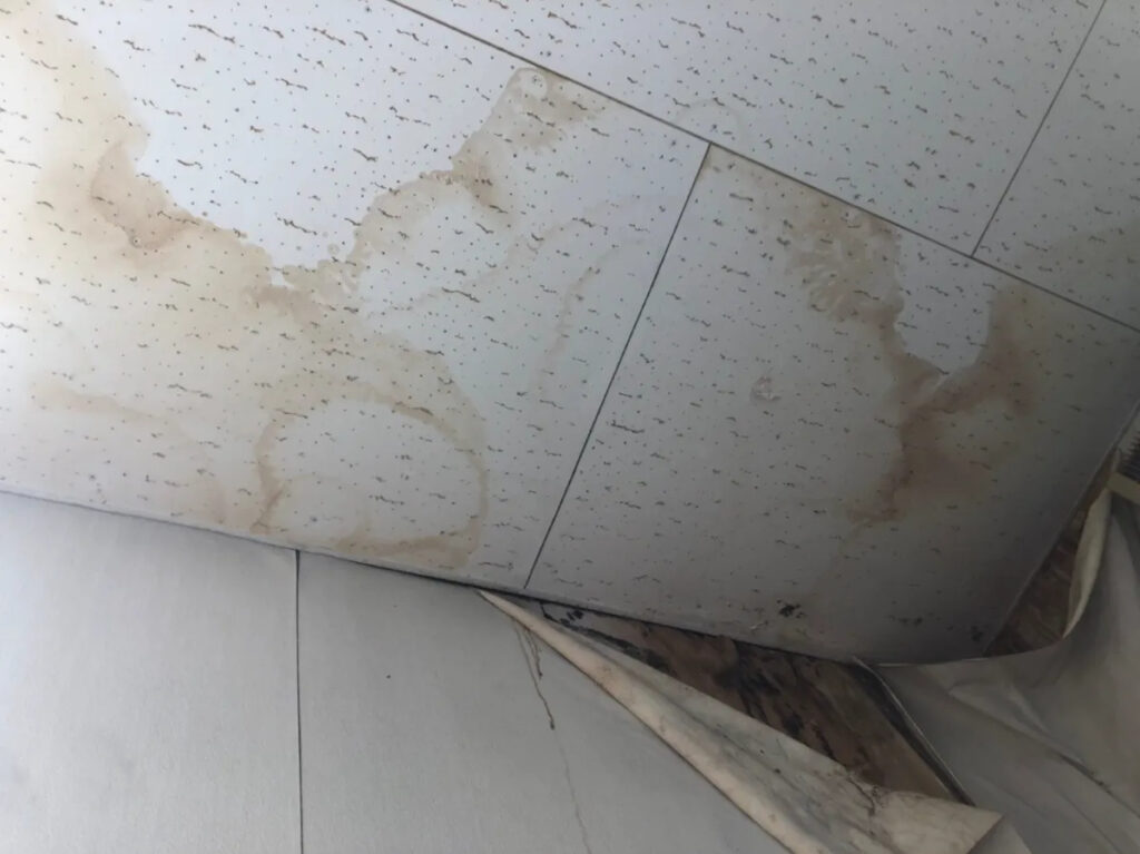 丸山建設の無料点検で安心スタート