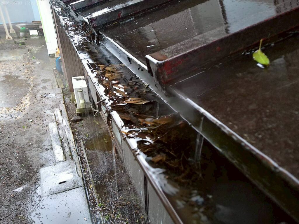 雨樋内部に泥が詰まり、雨水が正常に流れていない状態