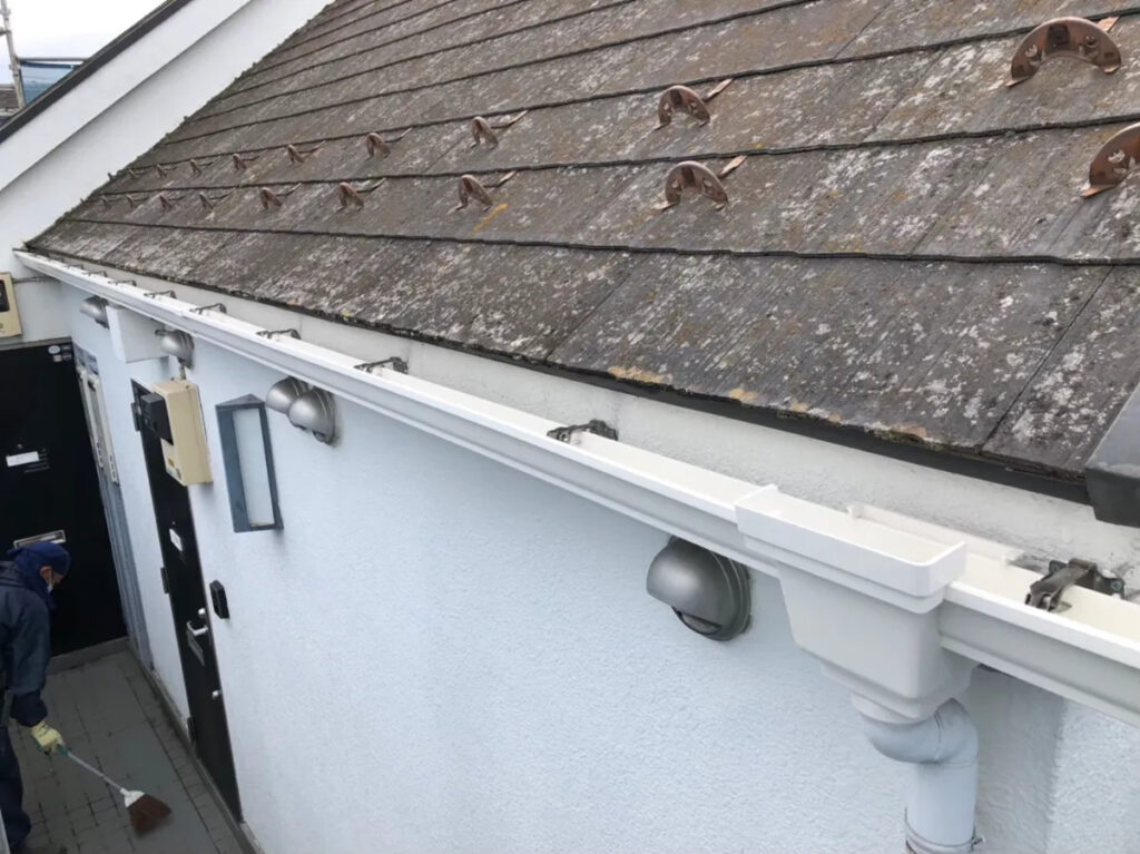 雨樋が担う重要な役割