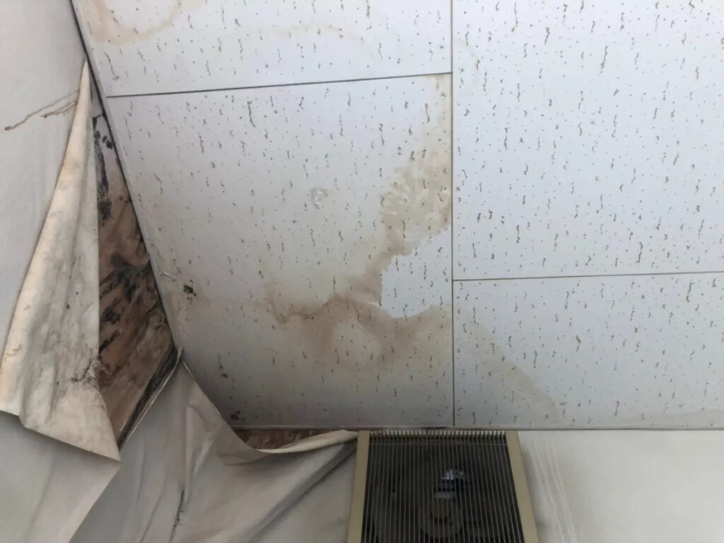 雨樋を放置することで起こる3大リスク