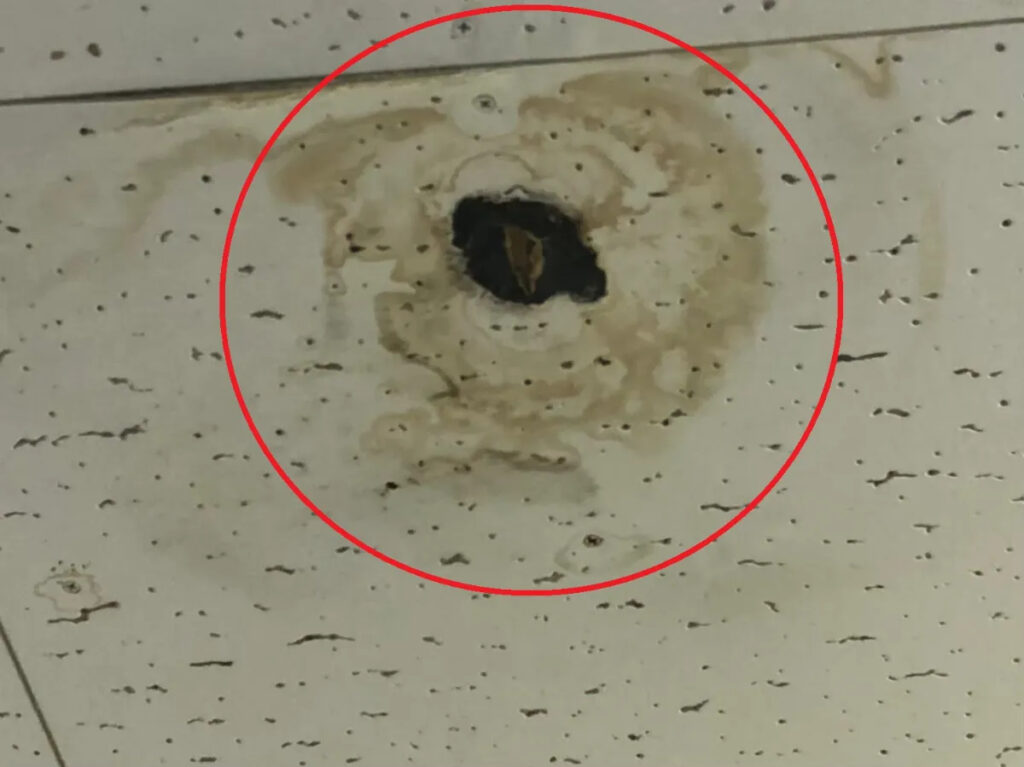 火災保険(風災・落雷・雪害など)を使うときの実務的なポイント