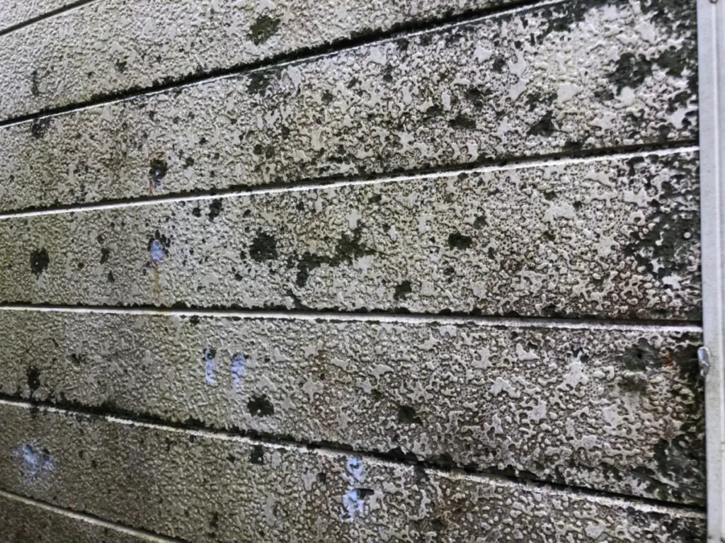 鴻巣市で増えている雨樋詰まり被害の実態