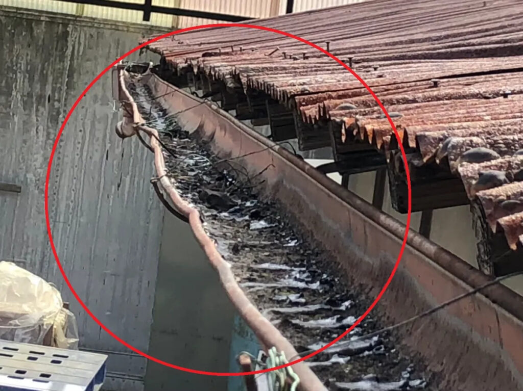 見逃してはいけない雨樋詰まりのサイン