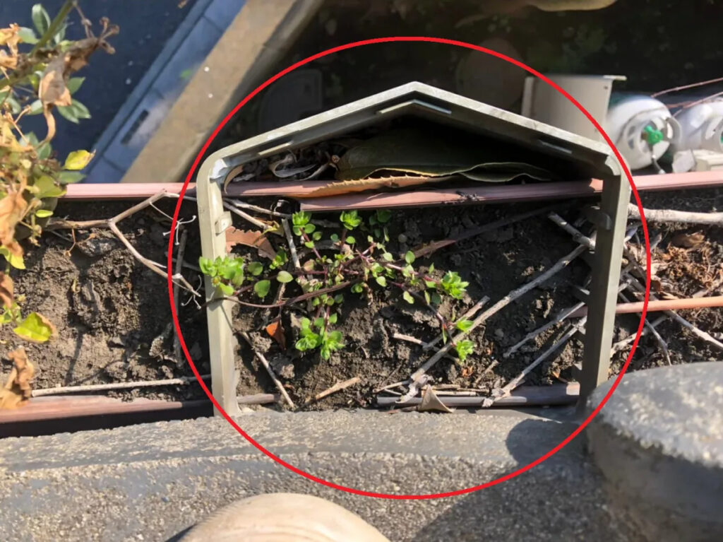 雨樋詰まりを放置するリスク