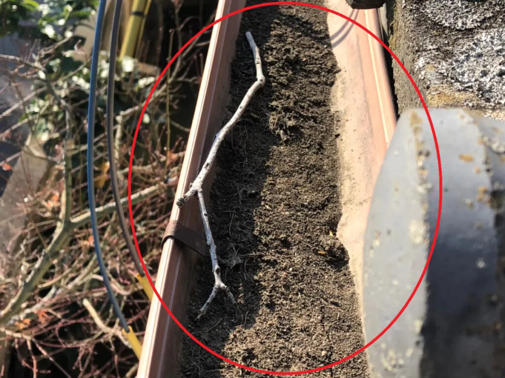 清掃・点検のベストタイミング