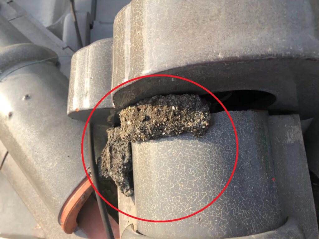 10秒でできる!漆喰劣化セルフチェック