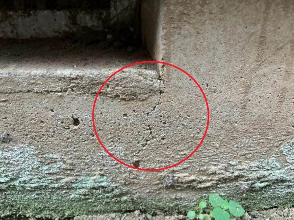 プロが教えるスピード応急処置の手順