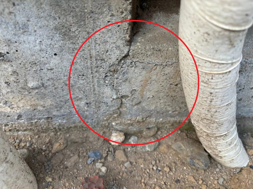 丸山建設の無料点検と保険申請サポート