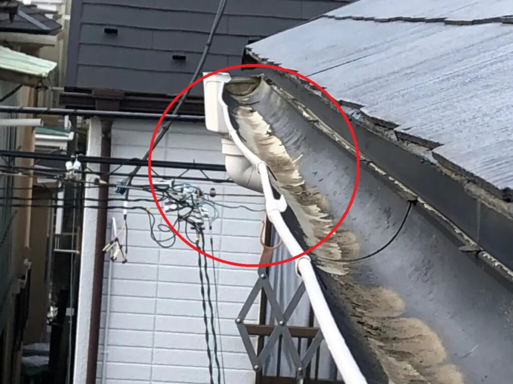 雨樋の役割と重要性