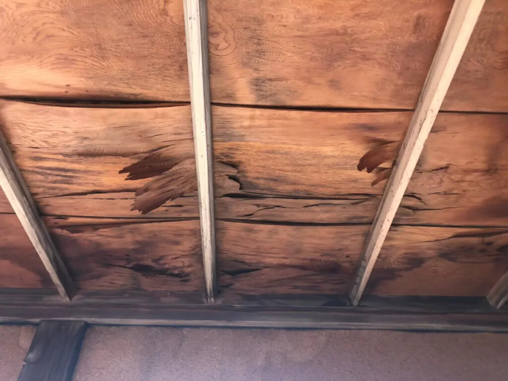 塗装剥がれを放置すると起こる建物全体のダメージ