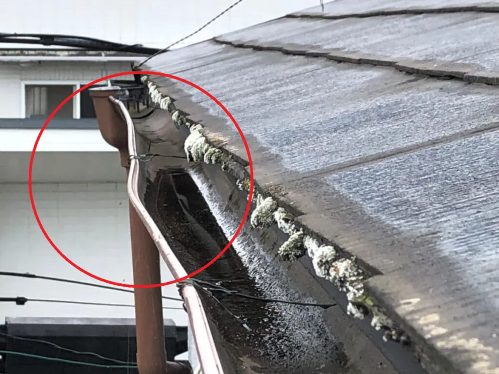 「雨樋が壊れても雨漏りしないから平気」と思っていませんか？1
