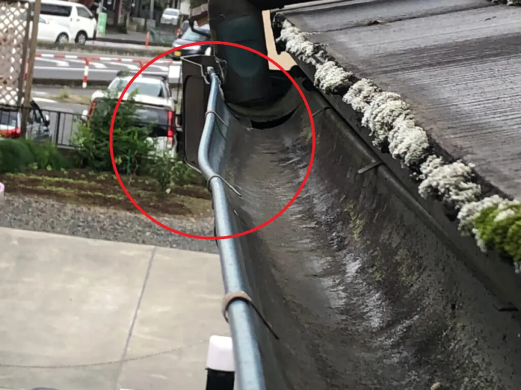 この記事のポイントまとめ