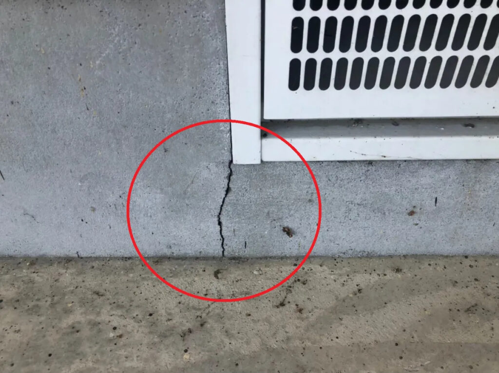 小さなひびでも専門家の点検が第一歩