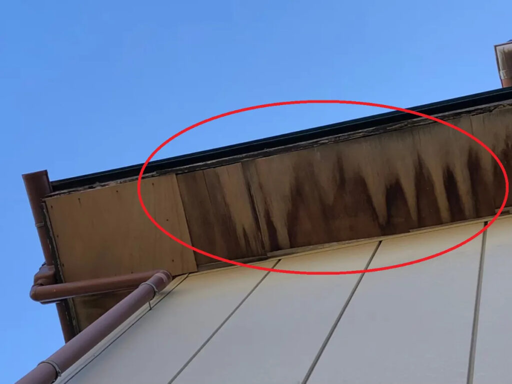 早めの点検と外壁メンテナンスが鍵