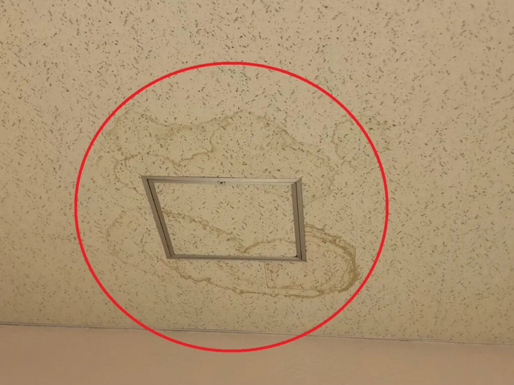 自分では気づけない“雨漏りのサイン”