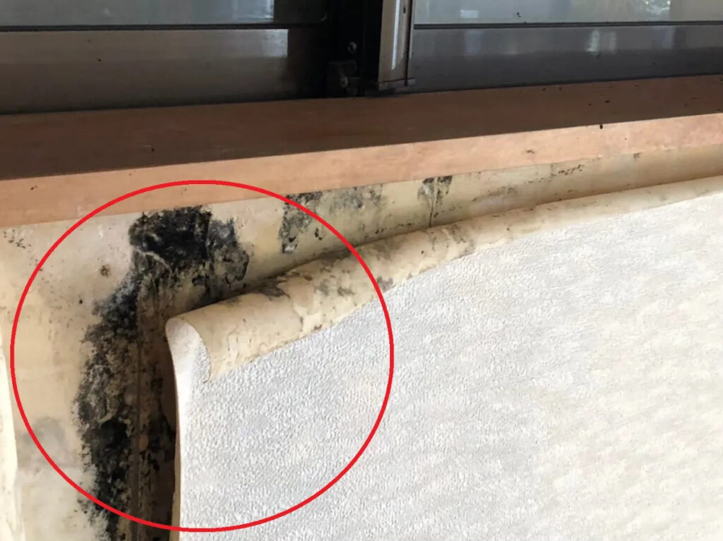 放置するとどうなるのか?