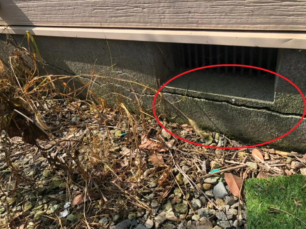 ひびを放置しない!修復と予防のポイント