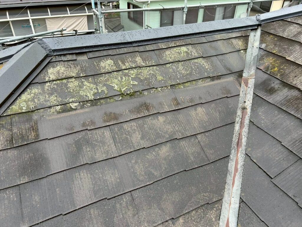 屋根塗装工事の現場で実際に撮影した施工前の色褪せと苔の作業写真