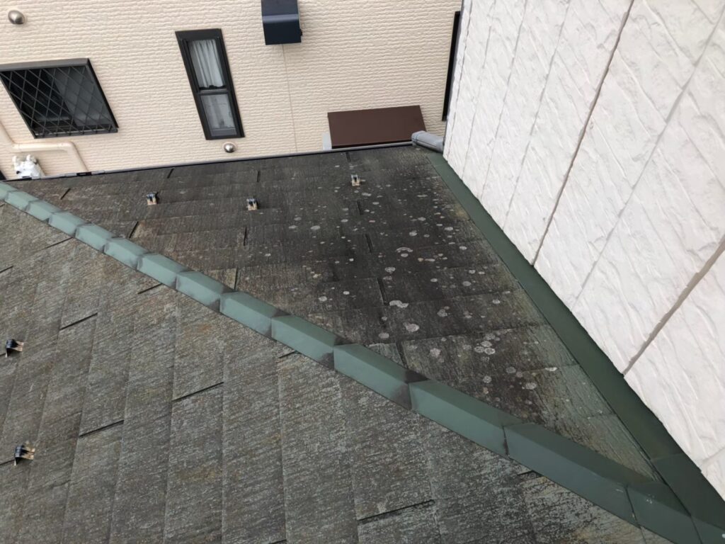 黒ずみ汚れで防水性能の低下が疑われる屋根材