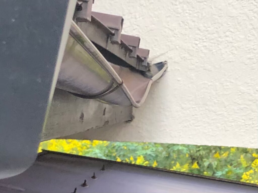 知らずに放置すると修理費3倍！？雨漏りを未然に防ぐには“この3つの時期”に雨樋を点検するのが最も効果的な理由とは？